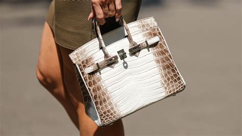 the Hermes bag